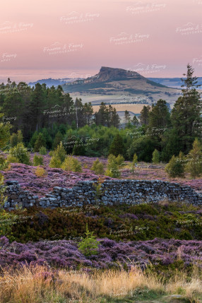 To buy a print or any of the below please click on the images